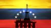Factbox: Venezuela's oil and mining sectors