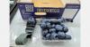 South Korea is consolidating as one of the fastest-growing destinations for Chilean blueberries