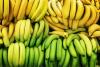 Corbana fights climate and cost pressures to steer Costa Rican banana production to recovery in 2026
