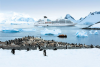 Seabourn unveils epic 2028 Cape-to-Cape World Cruise with first-ever expedition experiences