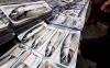 Korea's mackerel exports hit ironic high despite domestic shortages