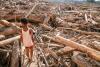 Indonesia clears, records floodwood for community use in Sumatra