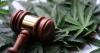 A Leon circuit judge has ordered Florida to update pot petition numbers