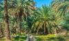 Al Ain to Become Capital of Arab Tourism in 2026