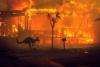Millions Living in Australian Cities’ Outskirts at Risk of Los Angeles-Style Wildfires, Report Warns
