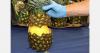 Spain seizes cocaine hidden in pineapple shipment from Costa Rica