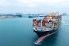 Global shipping braces for rough 2026 as overcapacity crisis finally sets to hit the market