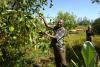 Enriching the land and farmers’ lives through agroforestry in Ethiopia