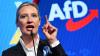 Germany’s AfD Invited to Munich Security Conference