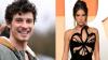 Shawn Mendes confirms relationship with Brazilian actor Bruna Marquezine as the two go grocery shopping in LA; see pics