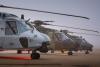 Spanish Ministry of Defence orders 100 Airbus helicopters