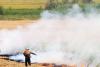 Ministry wants to reduce agricultural burning by 15%