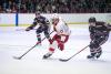 CORNELL NOTES: No. 14 Men's Hockey Closes Out Non-Conference Play With Alaska Fairbanks Series