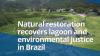 Natural Restoration Recovers Lagoon and Environmental Justice in Brazil: VIDEO