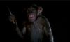 5 More Killer Monkey Movies To Go Ape Over After Watching ‘Primate’