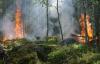 South Carolina Facing Increased Wildfire Threat as Peak Season Begins