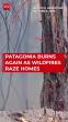 Argentina Burns Again: Wildfires Grip 3,000 Hectares, Forcing Mass Evacuations
