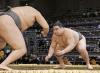 Sumo: Mongolian rookie Asahifuji carries high expectations with ring name