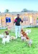 500 animals adopted in Bahrain last year