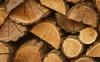 Bulgaria: Timber Output Hit Historic Low in 2025