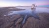 Scientists discovered never-before-seen creature in Great Salt Lake