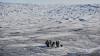 US in high-level talks to open new bases as its sovereign territory in Greenland