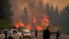 Wildfires scorch 15,000 hectares in Argentine Patagonia