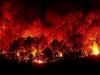 Wildfires destroy more than 15,000 hectares in Argentina Patagonia