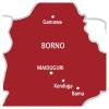 Six terrorists die in own bomb explosion in Borno