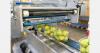 South Africa develops local fruit-packing lines through Paarl facility