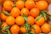 Brazil’s orange output is set to rise in 2025/26, but La Niña and El Niño threaten weather stability