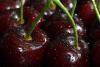 Chilean cherries look to the US market amid higher supplies