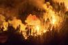 Fires in Argentine Patagonia Consume Thousands of Hectares of Native Forest
