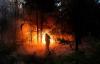 Wildfires spread to 15,000 hectares in Argentina