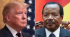 Trump's new diplomat in Yaounde: "...we ...