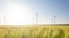 Blue Elephant Energy to acquire 381MW wind portfolio in Germany