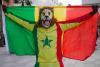 Senegal, Ivory Coast fans in limbo for World Cup