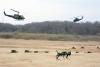 Japan Ground Forces Test Quadrupedal Robots in Airborne Combat Drill