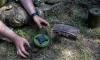 Finland to Begin Purchasing and Manufacturing Anti-Personnel Mines in 2026