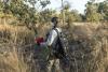 In remote Senegal, chimp researchers escape gold mines' peri...