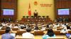 Vietnam Emergency Law: Policy Tool Risking Human Rights