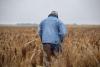 U.S. Farm Economy Shows Widening Cracks as Costs Rise, Jobs Vanish
