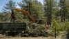 USDA Forest Service to Use Defense Department Funds for Wildfire Mitigation