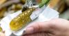 Do They Really Serve Pickles at Texas Movie Theaters? Yes — Here’s Why