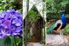 Garvin Gardens in Hot Springs, Arkansas - A Springtime Oasis