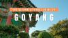 GOYANG TRAVEL GUIDE: The Ultimate Local’s Guide to South Korea’s Most Underrated City