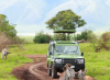 Tour Africa: Telling Africa’s travel stories to the world
