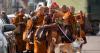Buddhist monks, dog captivate Americans while walking for peace