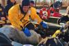 First Responders Rescue Dog from the Banks of the Iowa River [VIDEO]