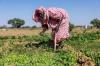 IFAD President: Agriculture can be a tool for peace and hope